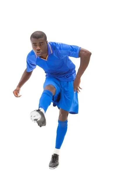 半岛体育 APP 界面展示